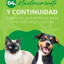 Manejo del dolor VetLife