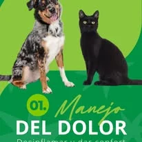 Manejo del dolor en mascotas