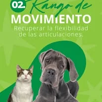 Rango de movimiento en mascotas