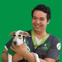Médico veterinario VetLife