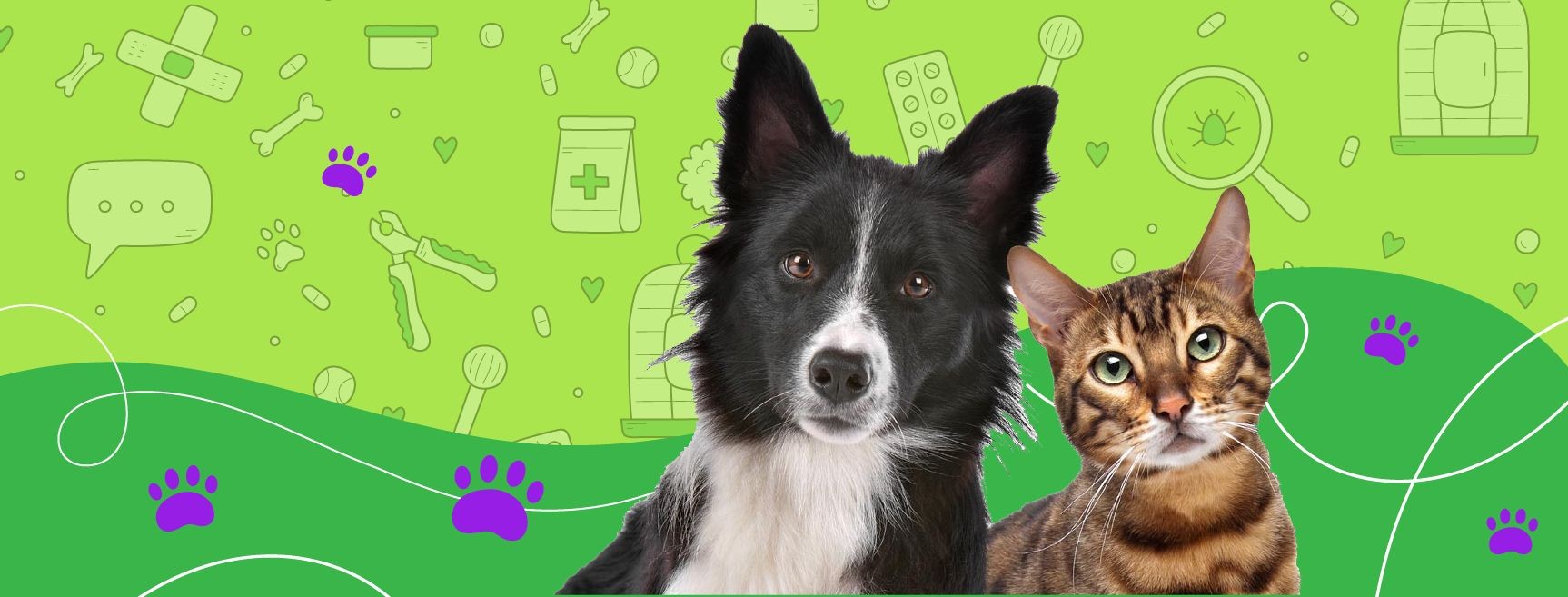 Perro y gato de VetLife sobre fondo verde